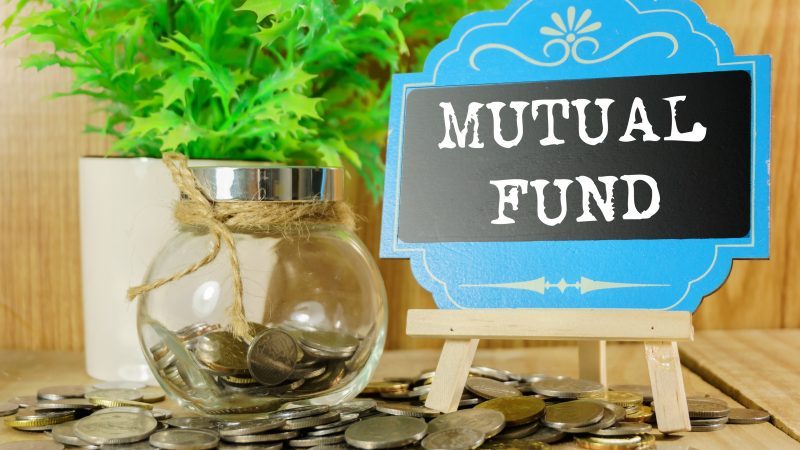 Mutual FundLove Couple Senior and Model House with Coins Money in the Bag  on Natural on Natural Green Background Save Money for Stock Image  Image  of growth invest 231291587