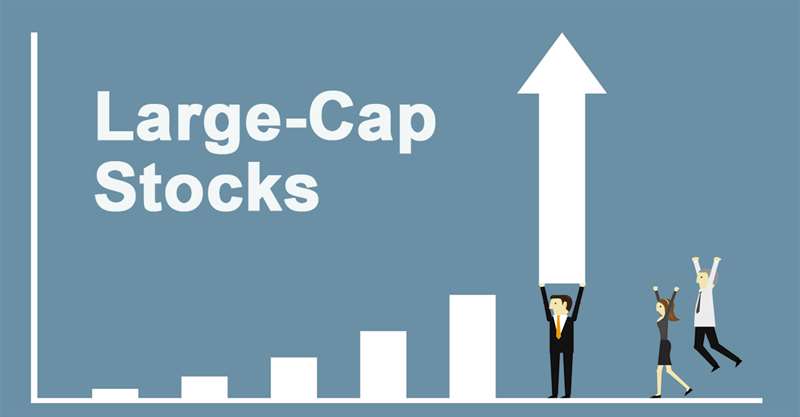 Large Cap Stocks To Buy