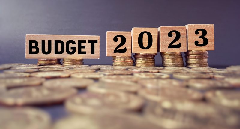 Budget 2023: Benefits Provided for Various Sectors in Budget 2023-24